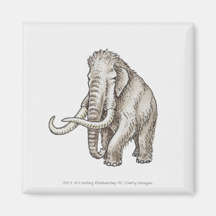 Aimant Illustration d'un mammouth
