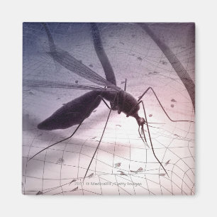 Aimant Illustration d'une piqûre de moustiques