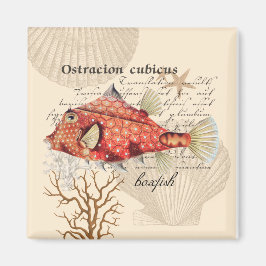 Aimant Illustration vintage de poisson blanc orange