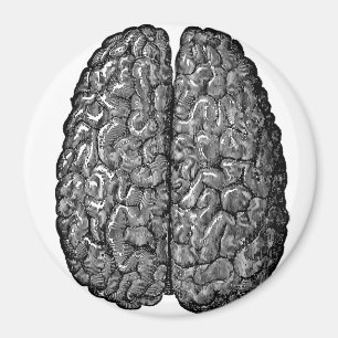 Aimant Illustration vintage d'esprit humain