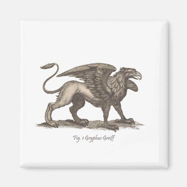 Aimant illustration vintage griffin (gryphus greiff). (Devant)
