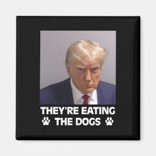 Aimant Ils Mangent Les Chiens Trump 2025 Élection Amériqu