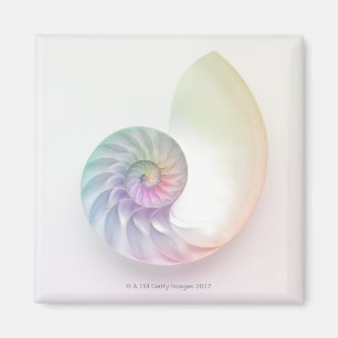 Aimant Image colorée artistique de nautilus