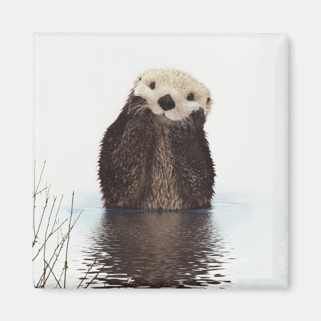 Aimant Image de la faune de Cute Otter (Devant)