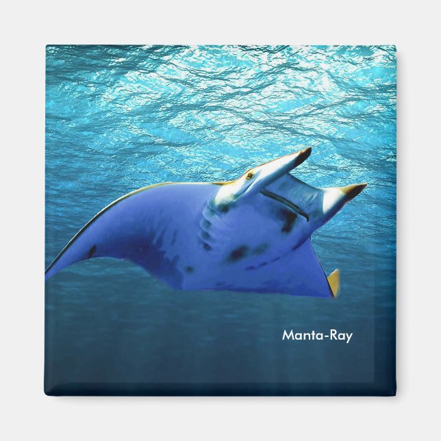 Aimant Image de poisson pour Carré-aimant (Devant)