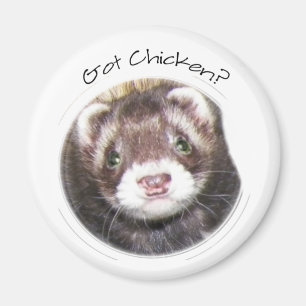 Aimant Image du visage de Ferret
