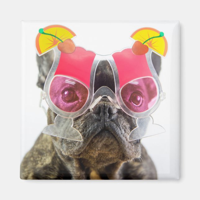 Aimant Images Getty | Chien Avec Lunettes De Cocktail (Devant)