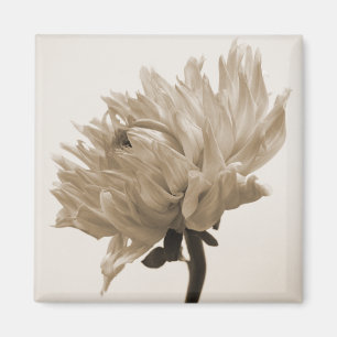 Aimant impression dahlia sepia