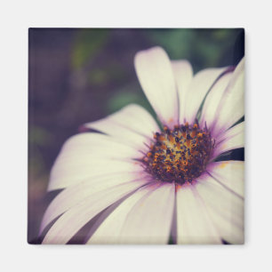 Aimant Impression de marguerite.