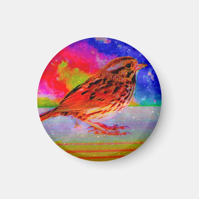 Aimant Imprimer l'art du rêve d'oiseaux cosmiques" (Devant)