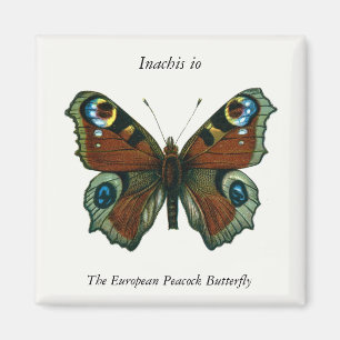 Aimant Inachis io - Le papillon paon européen
