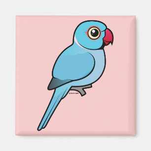 Aimant Indien bleu Ringneck