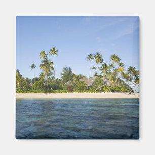 Aimant Indonésie, province de Sulawesi Sud, Wakatobi