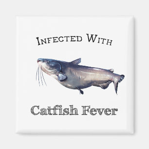 Aimant Infecté Par La Fièvre De Catfish
