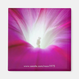 Aimant Infini (brillant)