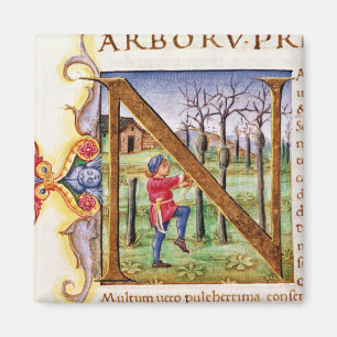 Aimant Initiale 'N de Historiated