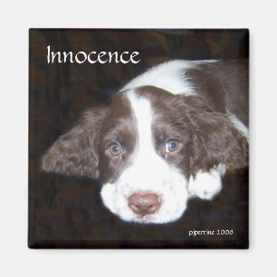 Aimant Innocence - amour de chiot