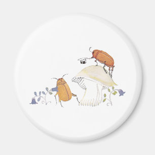 Aimant Insectes de juin, champignon et fleurs bleues