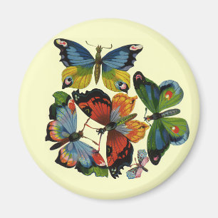 Aimant Insectes ou bugs vintage, beaux papillons
