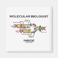 Inside de biologiste moléculaire