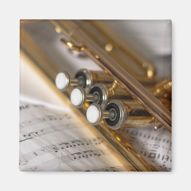 Aimant Instrument en laiton de trompette et de feuille de (Devant)