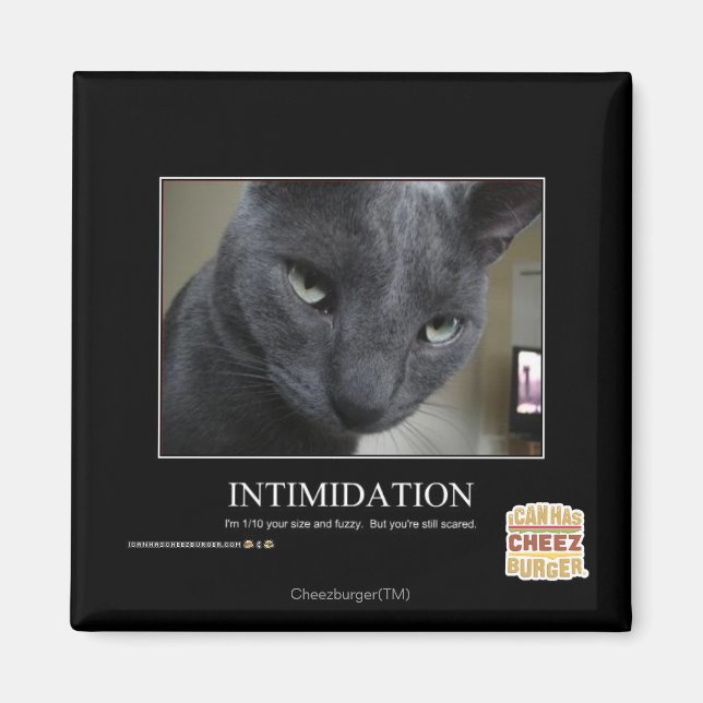 Aimant Intimidation (Devant)
