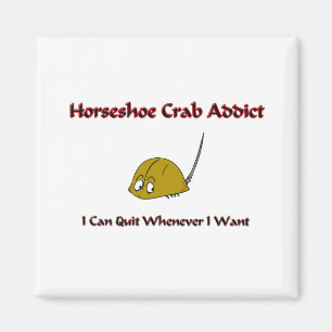 Aimant Intoxiqué de crabe en fer à cheval
