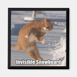 aimant invisible de surf des neiges