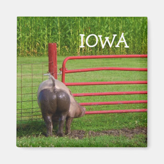 Aimant Iowa