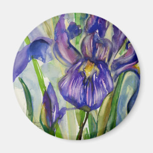 Aimant Iris