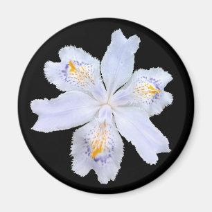Aimant Iris blanc