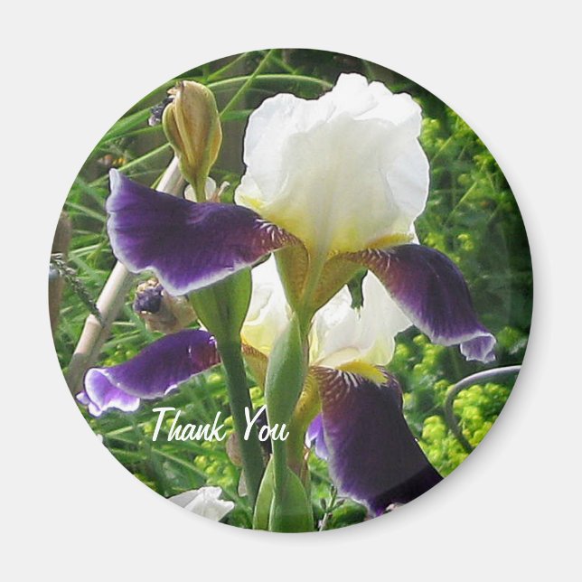 Aimant Iris Merci (Devant)