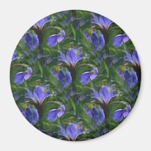 Aimant Irises flottants.......