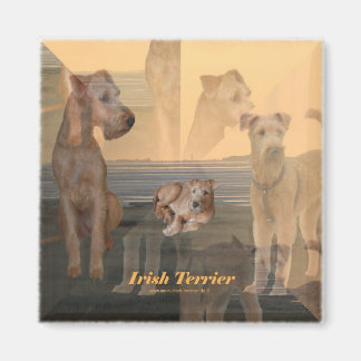 Aimant "Irish Terrier"