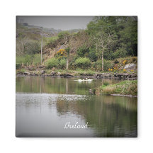 Irlande, Comté Cork, Lac, Cygnes, Photographie