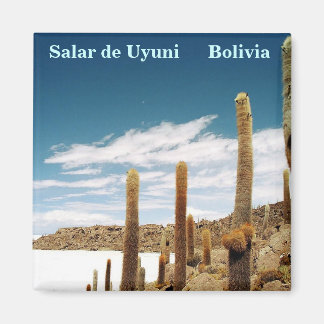Aimant Isla del Pescado, Salar de Uyuni, Bolivie