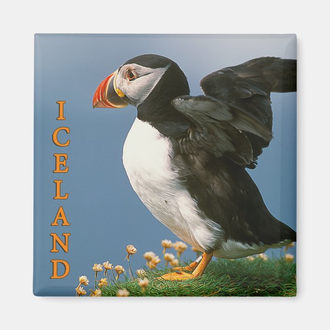 Aimant Islande (Devant)