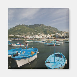 Aimant ITALIE, Campanie, (Baie de Naples), ISCHIA, FORIO 
