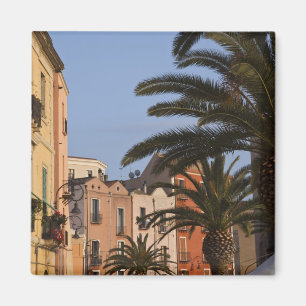 Aimant Italie, Sardaigne, Cagliari. Bâtiments et palmiers
