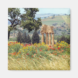 Aimant Italie, Sicile, Agrigente. Les ruines de la