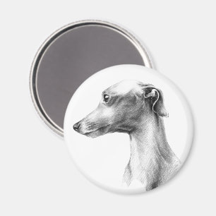 Aimant Italien Greyhound Whippet portrait de chien dessin