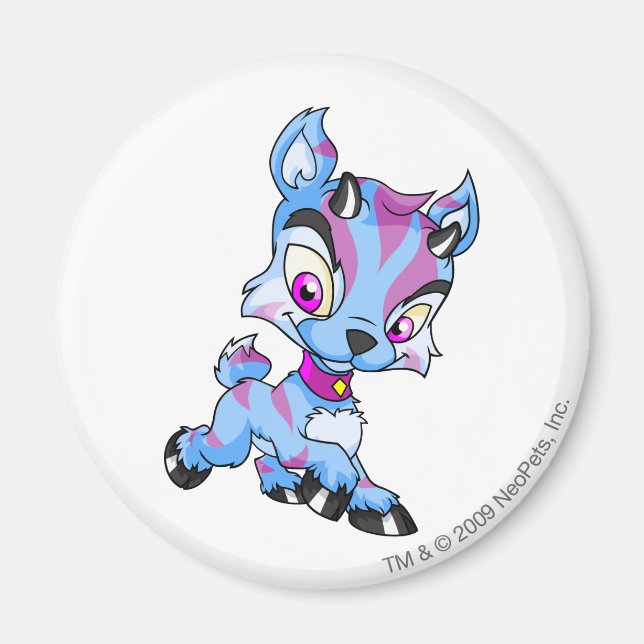 Aimant Ixi triés (Devant)