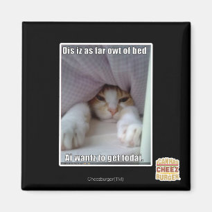 Aimant Iz de DIS en tant que loin owt de lit.