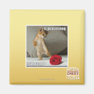 Aimant Iz pratique mah tango