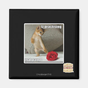 Aimant Iz pratique mah tango