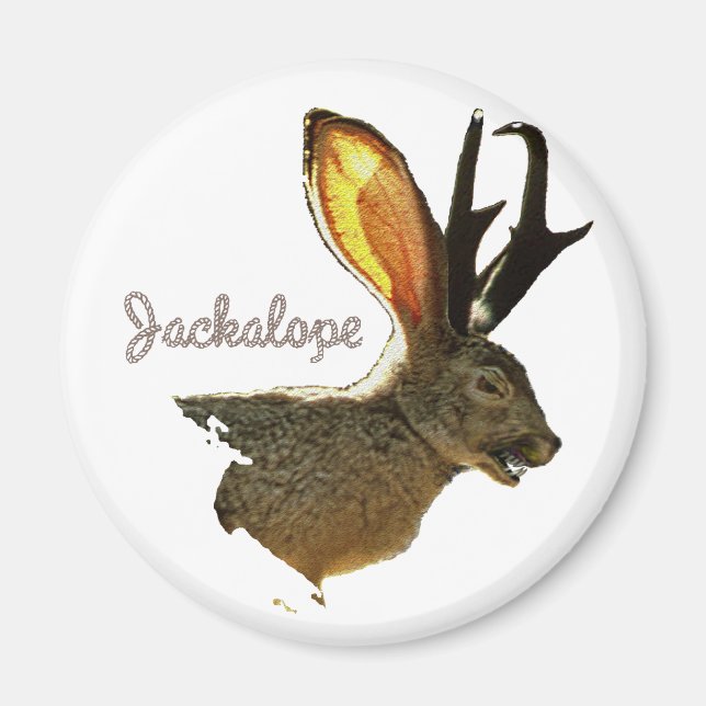 Aimant Jackalope (Devant)