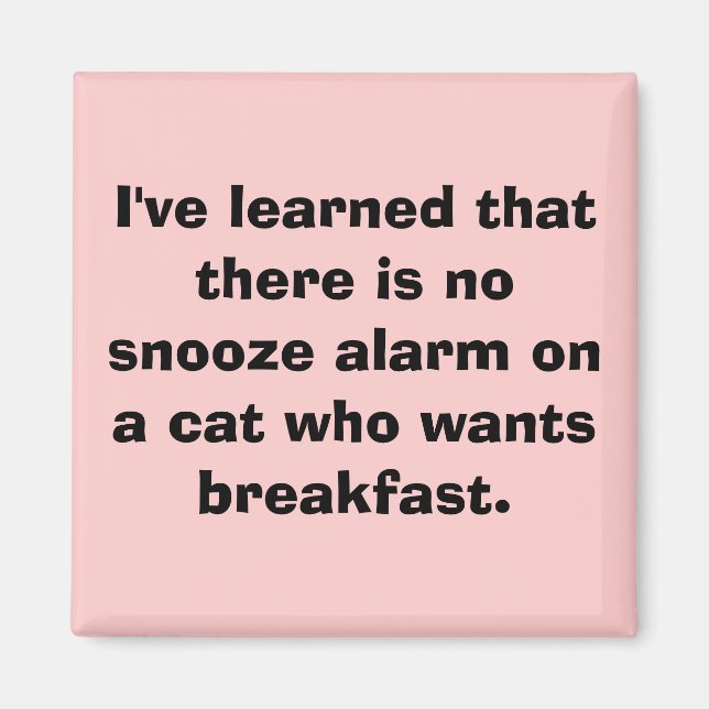 Aimant J'ai appris qu'il n'y a pas d'alarme sonore... (Devant)