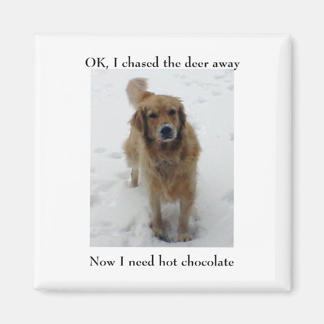 Aimant J'ai arrêté, OK, j'ai chassé le cerf, Maintenant,  (Devant)