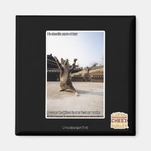 Aimant J'ai des pattes de shaolin de fureur