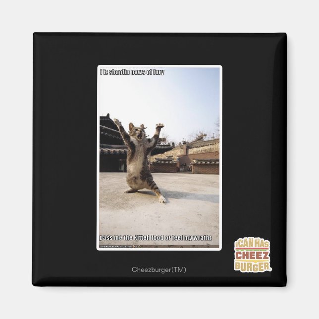 Aimant J'ai des pattes de shaolin de fureur (Devant)